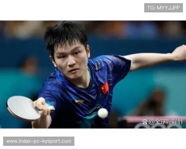 樊振东重新加入多球训练，击球手感明显回暖